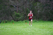 TIM_1342