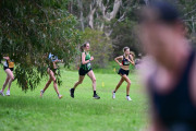 TIM_1570