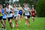 TIM_0416