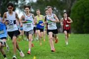 TIM_0417