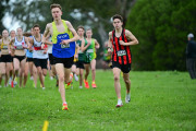 TIM_0422