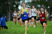TIM_0426