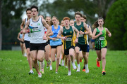 TIM_0434