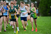 TIM_0441