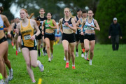 TIM_0449