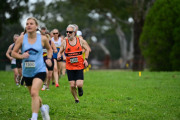 TIM_0536