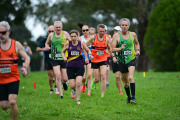TIM_0544