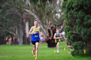 TIM_0655