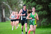TIM_0741
