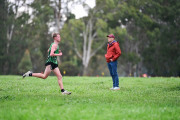 TIM_0852