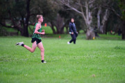 TIM_0861