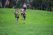 TIM_0869