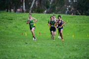 TIM_0871