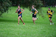 TIM_0885