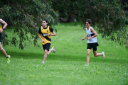 TIM_0892