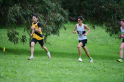 TIM_0894