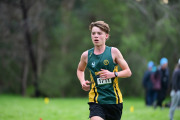 TIM_1326