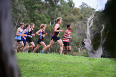 Victorian Cross Country Championships 2026 - U20 Men
