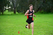 TIM_3907