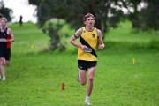 TIM_3909