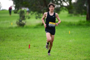 TIM_3935