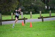 TIM_4033