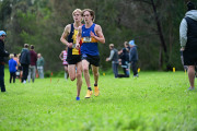 TIM_4097
