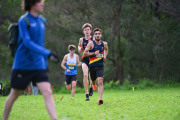 TIM_4147