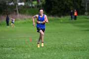 TIM_4175