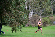 TIM_4400