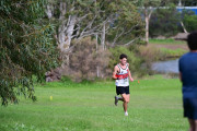 TIM_4407