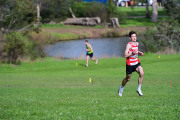TIM_4419