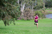 TIM_4427
