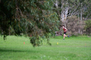 TIM_4438