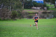 TIM_0116