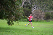 TIM_0347