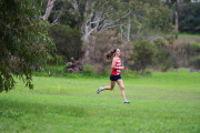 TIM_0350