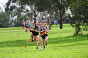 TIM_9655