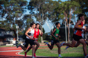 Victorian-Milers-Club-21-Jan-25-3014 Victorian-Milers-Club-21-Jan-25-3014