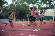 Victorian-Milers-Club-21-Jan-25-3602 Victorian-Milers-Club-21-Jan-25-3602