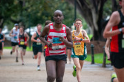 XCR Tan Relays 2024